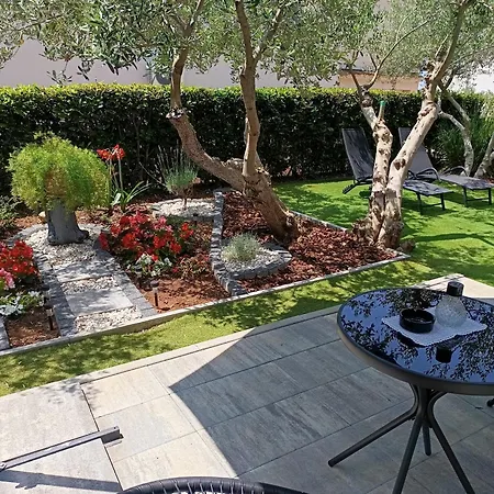 Garden Zara